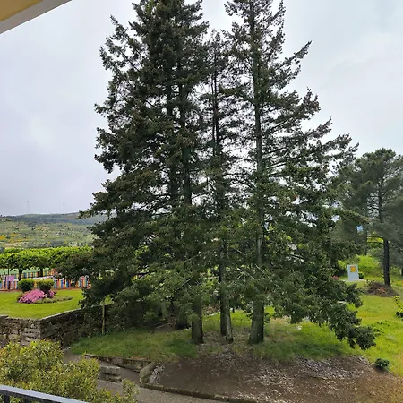 Lavanda Mira Serra Celorico Da Beira